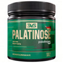 Palatinose 300g