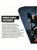 Palatinose 300g