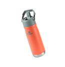 Garrafa Térmica Flip Straw Stanley Guava | 651ML