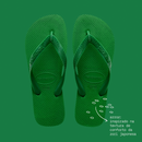 Chinelo Havaianas Top