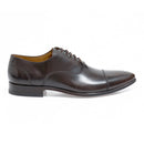Sapato Masculino Oxford Edward